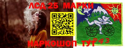 индика Малгобек