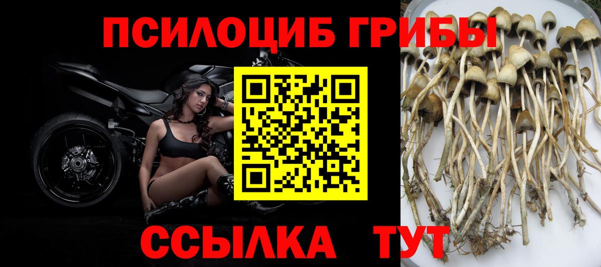 Галлюциногенные грибы Psilocybe  Вход с VPN  Кизляр  Псилоцибиновые грибы ЛСД 